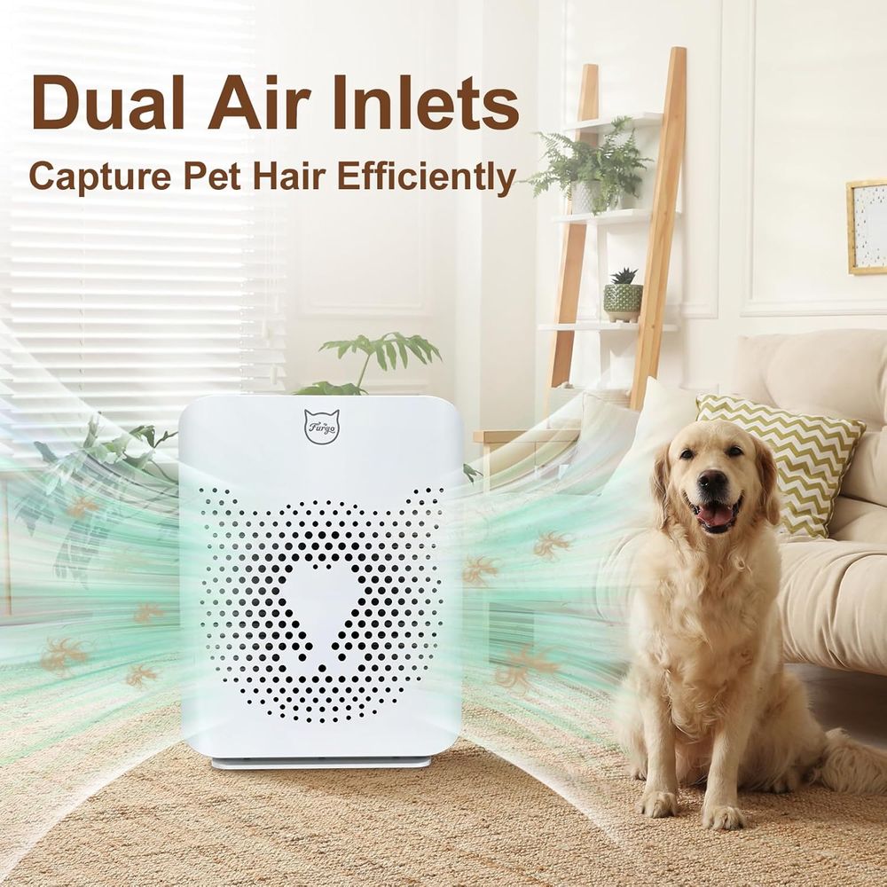 2-in-1 HEPA Air Purifier for P - Air Purifier Hepa reseña y precio