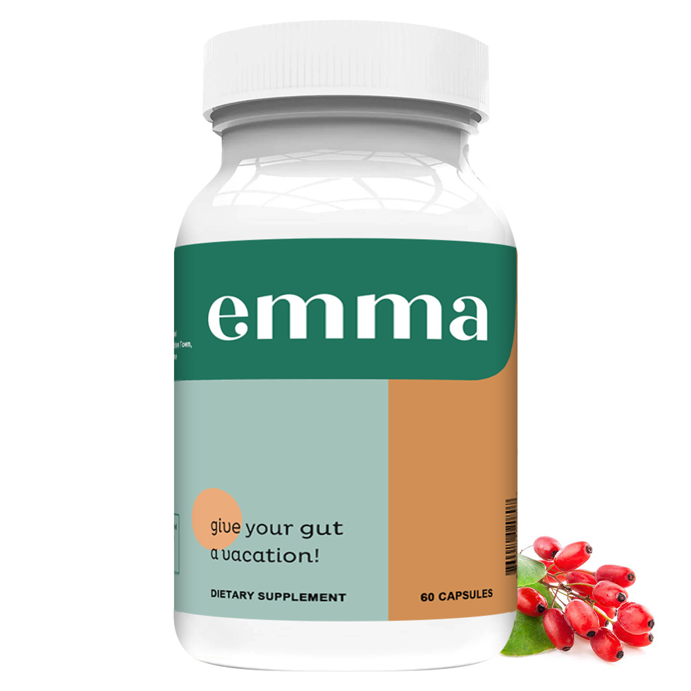 Gut Health Supplement - Suppor - Wellness Health Nutrition reseña y precio