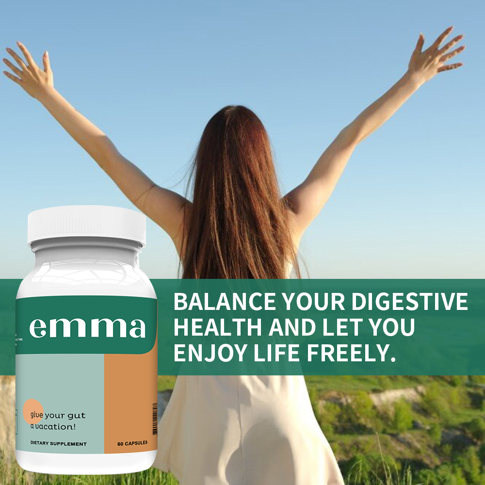 Gut Health Supplement - Suppor - Wellness Health Nutrition reseña y precio
