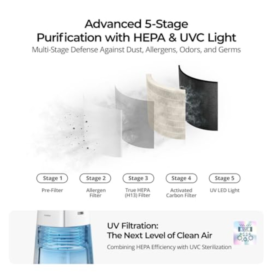 True HEPA Air Purifier for Lar - Air Purifier Hepa reseña y precio