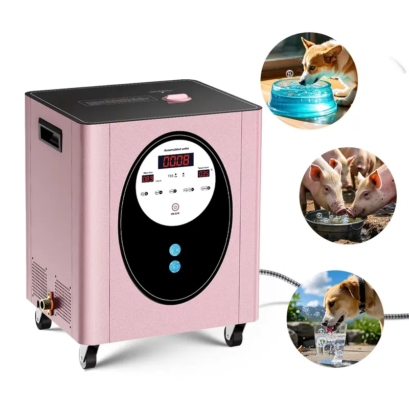 Suyzeko Biohacking Longevity W - Health Wellness Longevity reseña y precio
