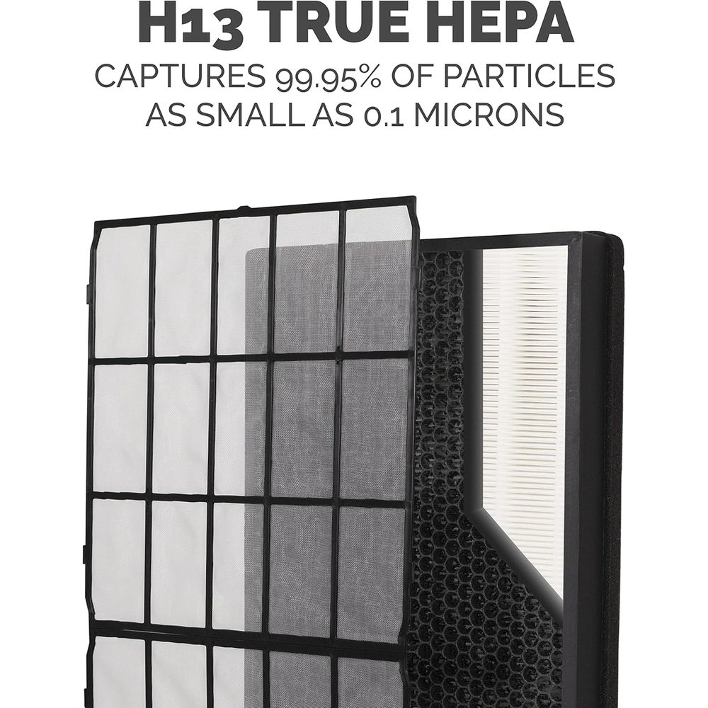 2-Pack Large Room HEPA/Carbon  - Air Purifier Hepa reseña y precio