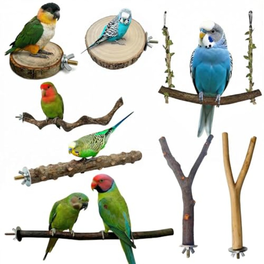 8PCS natural wood bird perches - Health & Wellness Lubbock reseña y precio