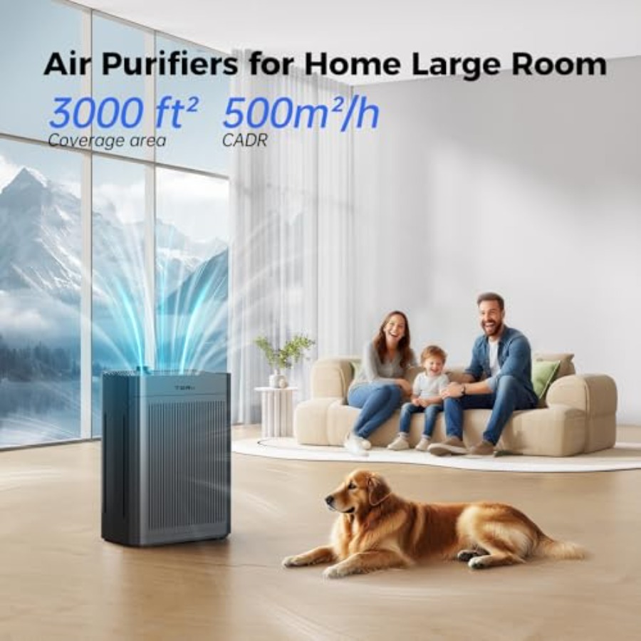 Home air purifier for large ro - Air Purifier Hepa reseña y precio