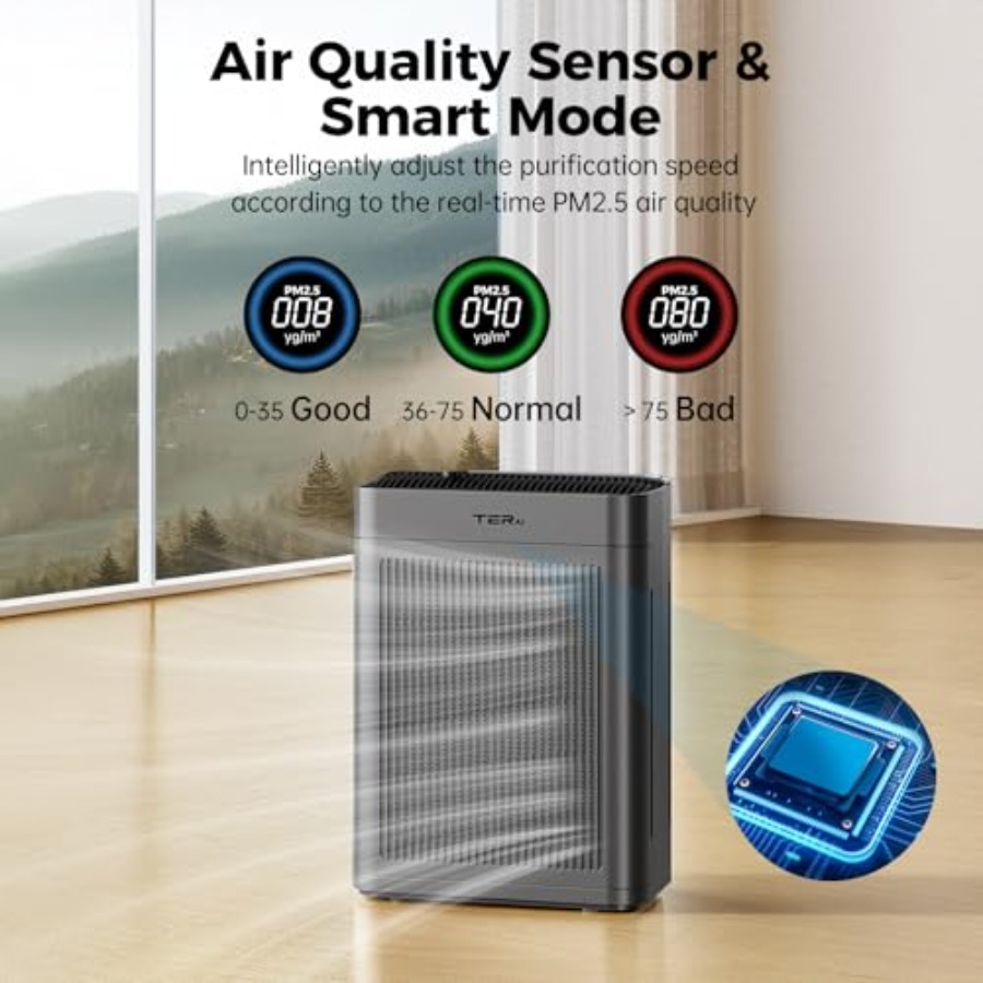 Home air purifier for large ro - Air Purifier Hepa reseña y precio