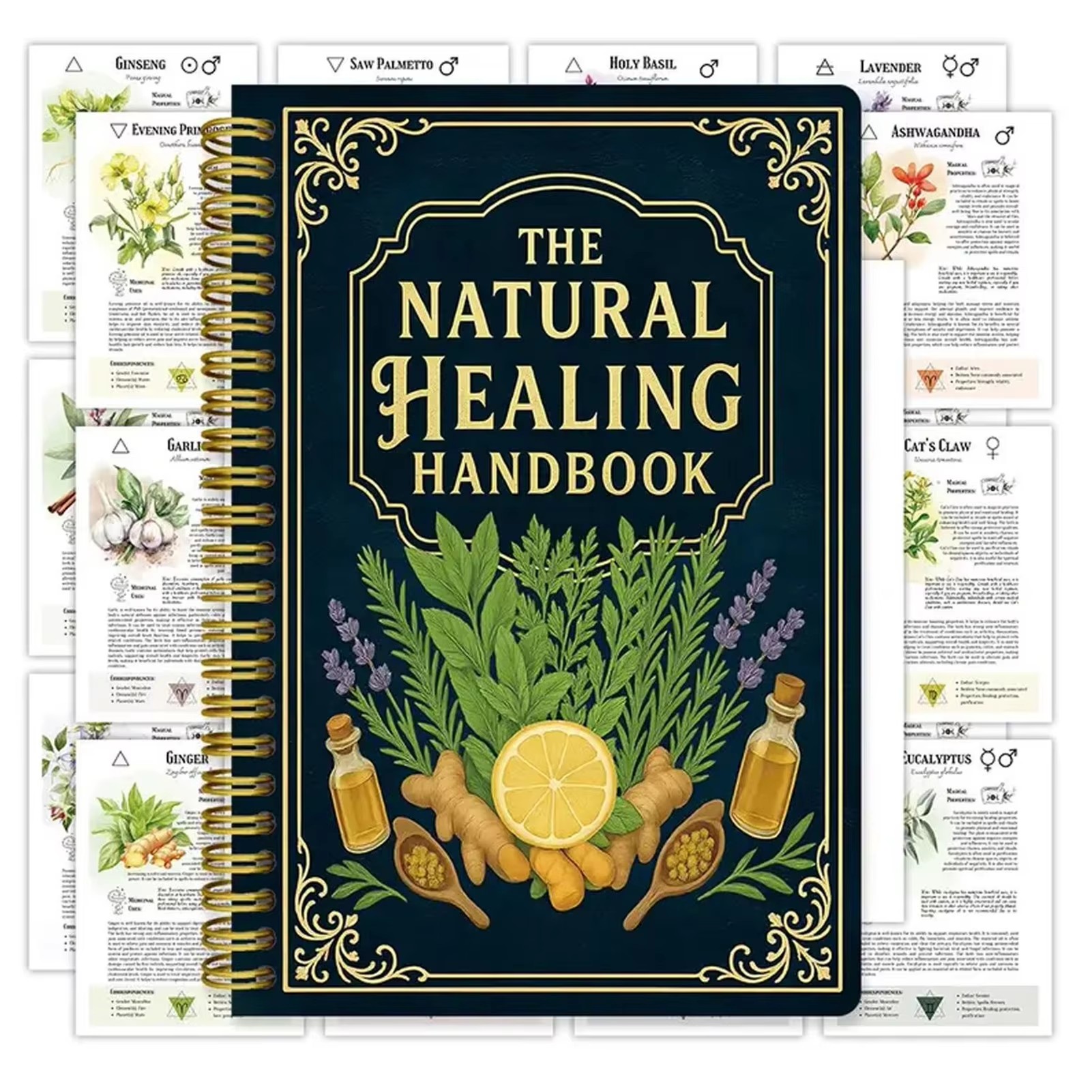Healing Handbook By Luna Filby - Health & Wellness Lubbock reseña y precio