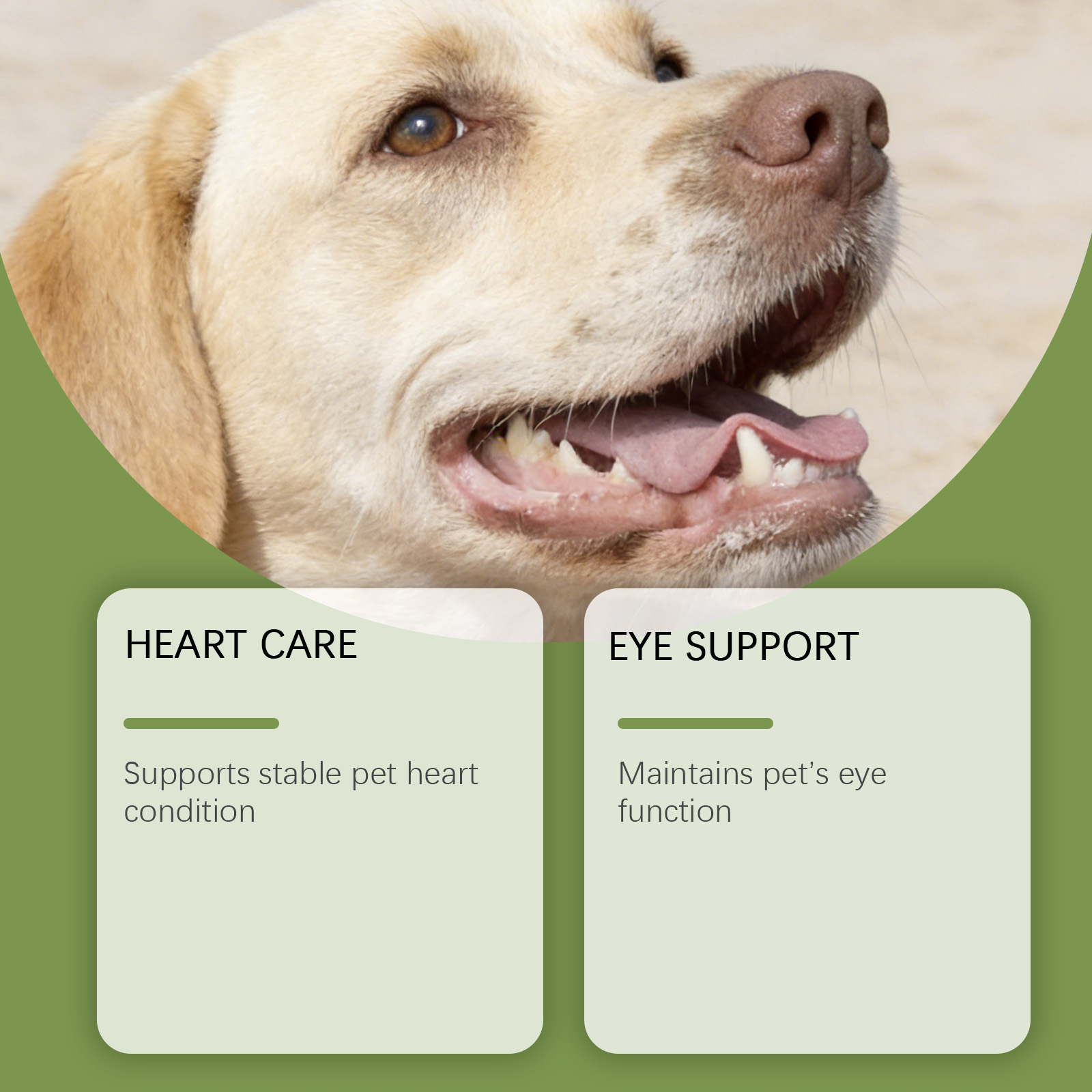 Dog Taurine Powder Easy-To-Mix - Wellness Health Nutrition reseña y precio