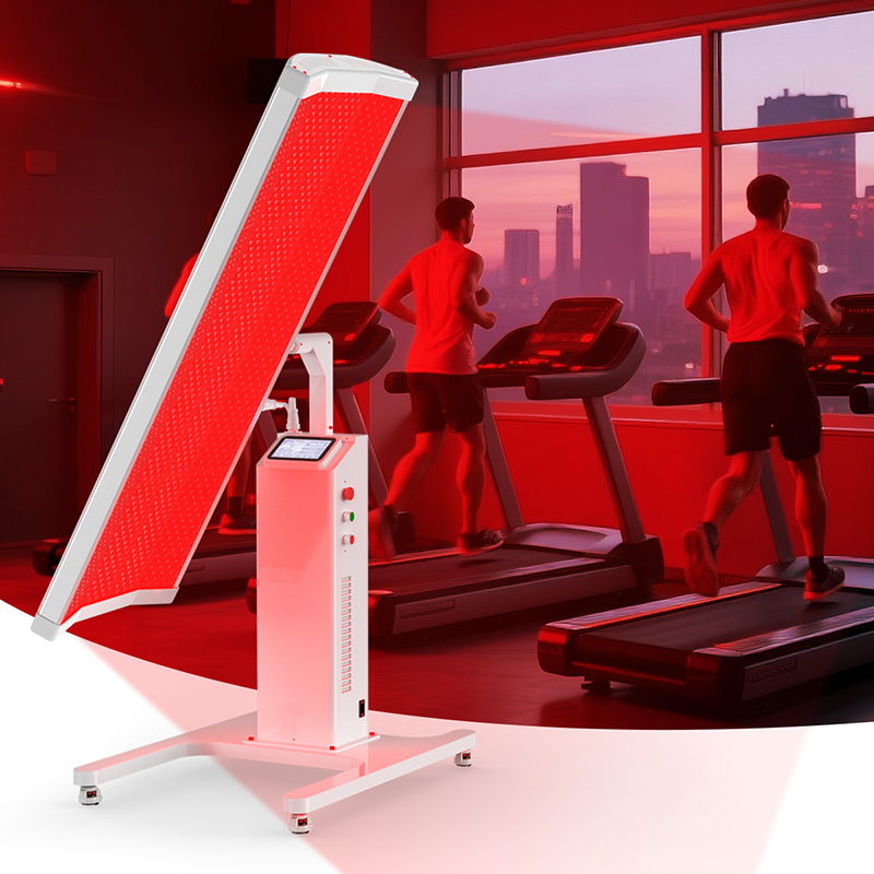 Suyzeko OEM Longevity Health C - Longevity Health & Wellness Hotel Adults Only reseña y precio