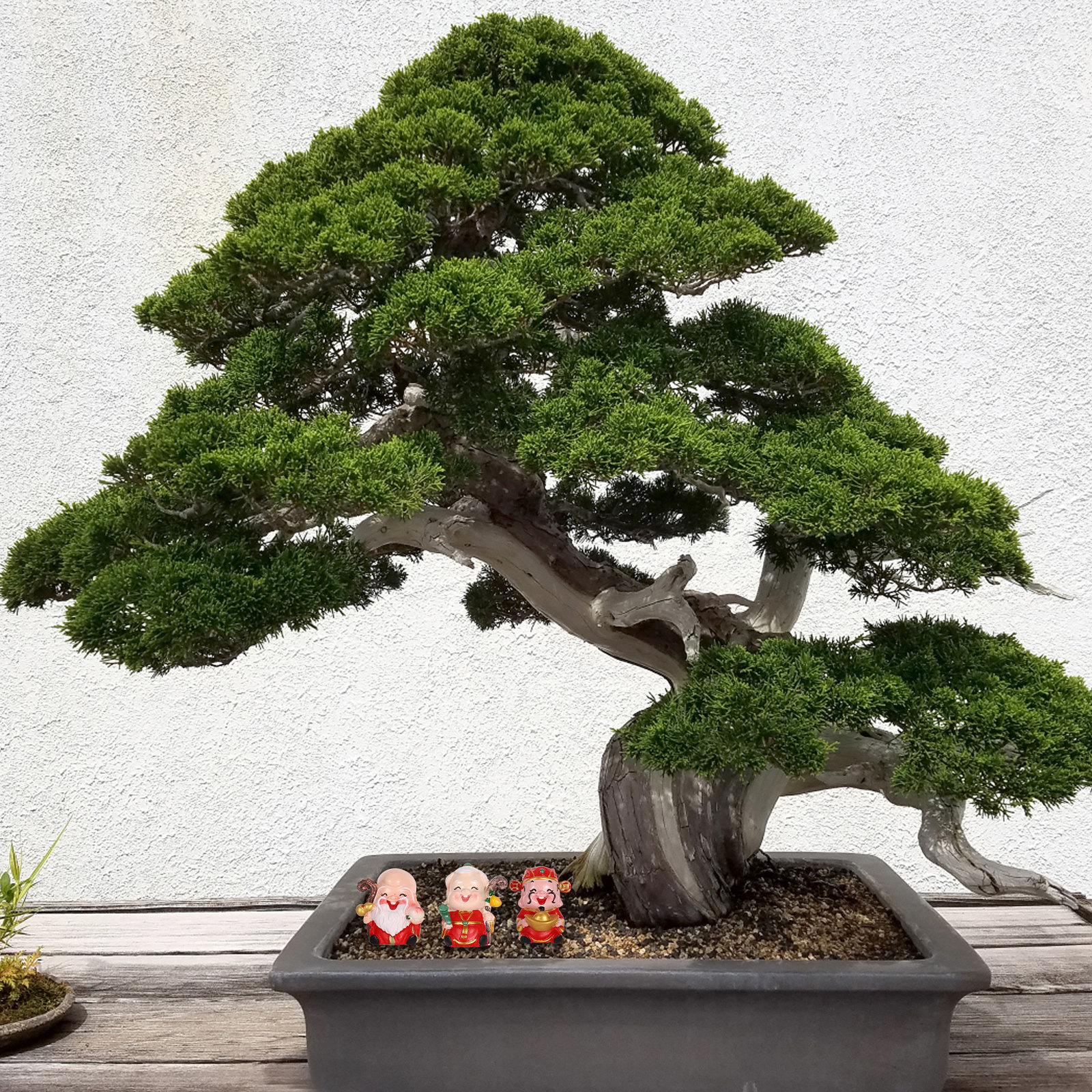 3Pcs Resin Chinese Elder Figur - Longevity Health & Wellness Hotel Adults Only reseña y precio