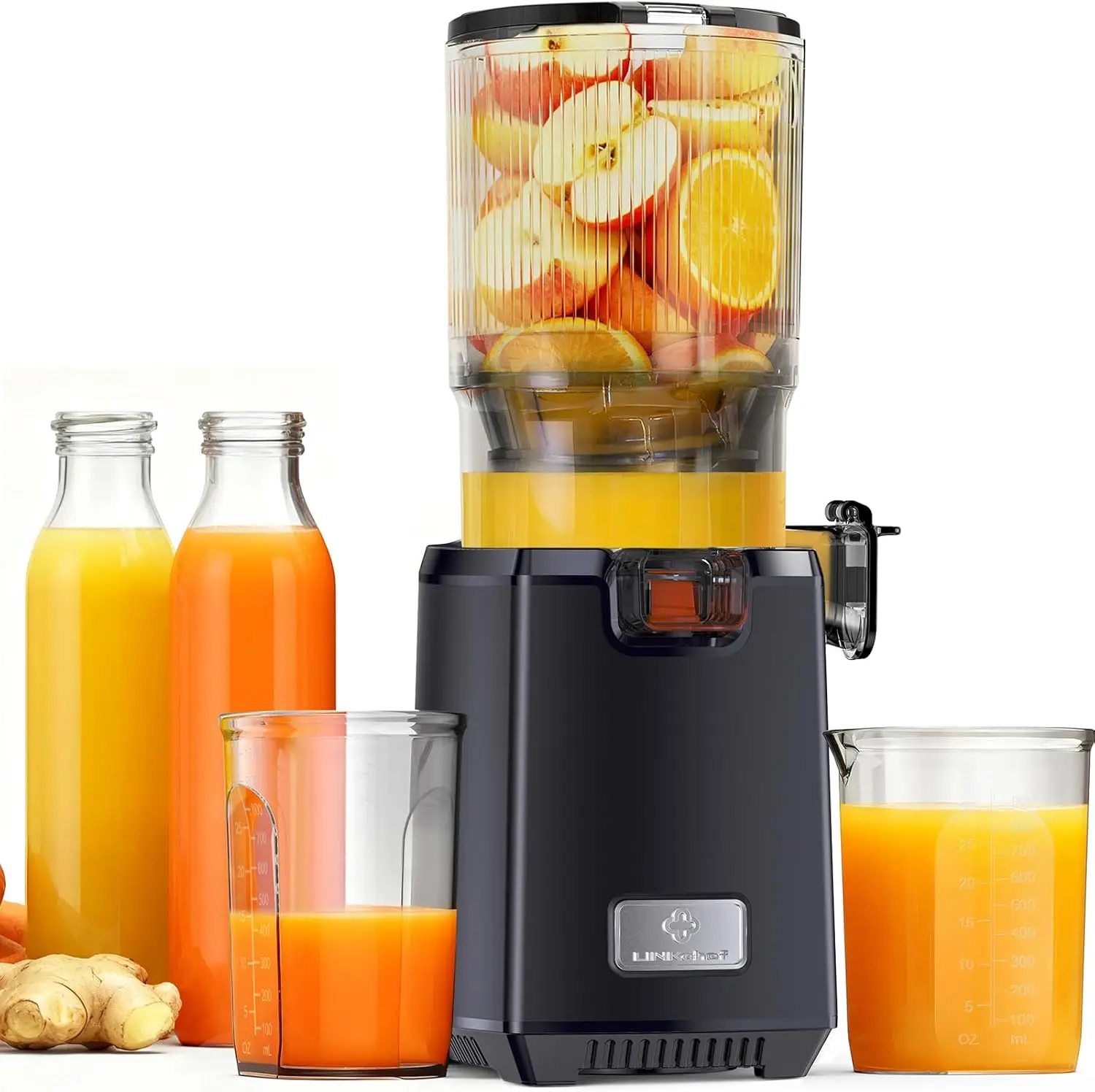Cold Press Juicer Machines, 13 - Cold Press Juicer reseña y precio