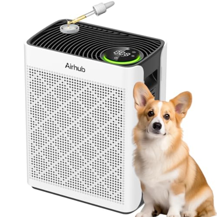 Home air purifier for large ro - Air Purifier Hepa reseña y precio