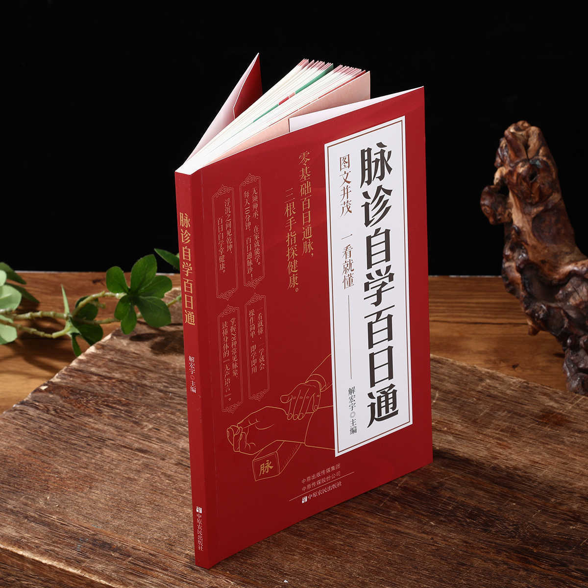 Pulse Diagnosis Self Study Hun - Health & Wellness Lubbock reseña y precio
